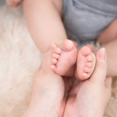 Nest & Nuzzle Infants